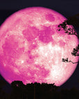 Strawberry Moon Soap ***Limited Edition***